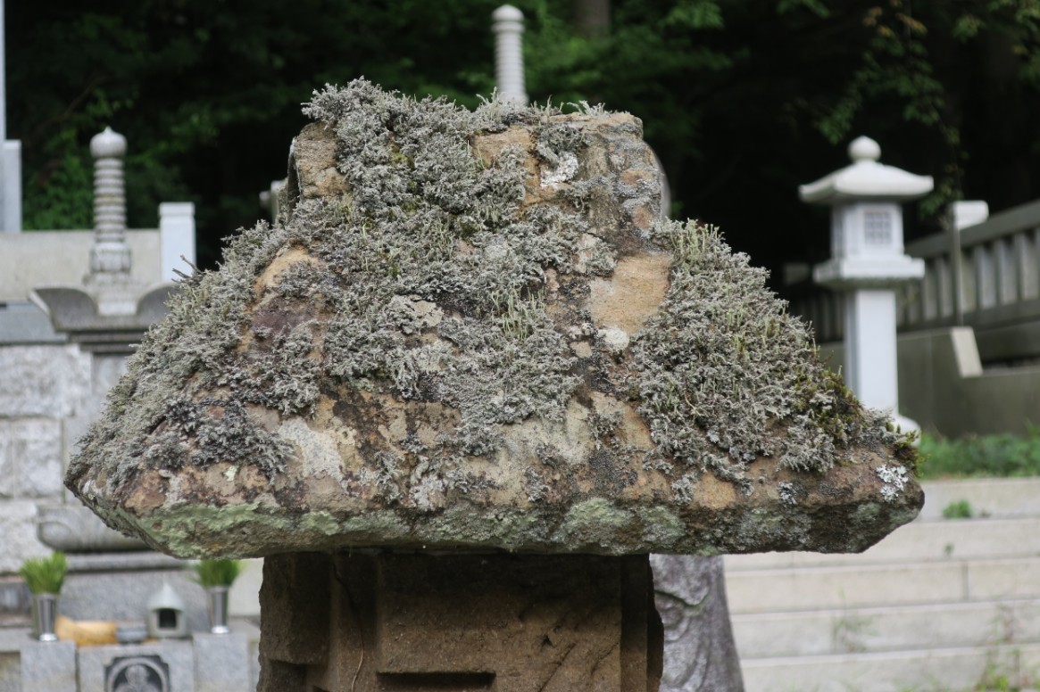 Read more about the article 7.9. Friedhof Koya-san