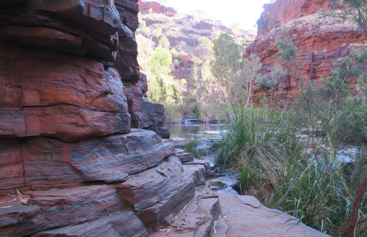 Read more about the article 1.10. Karijini NP