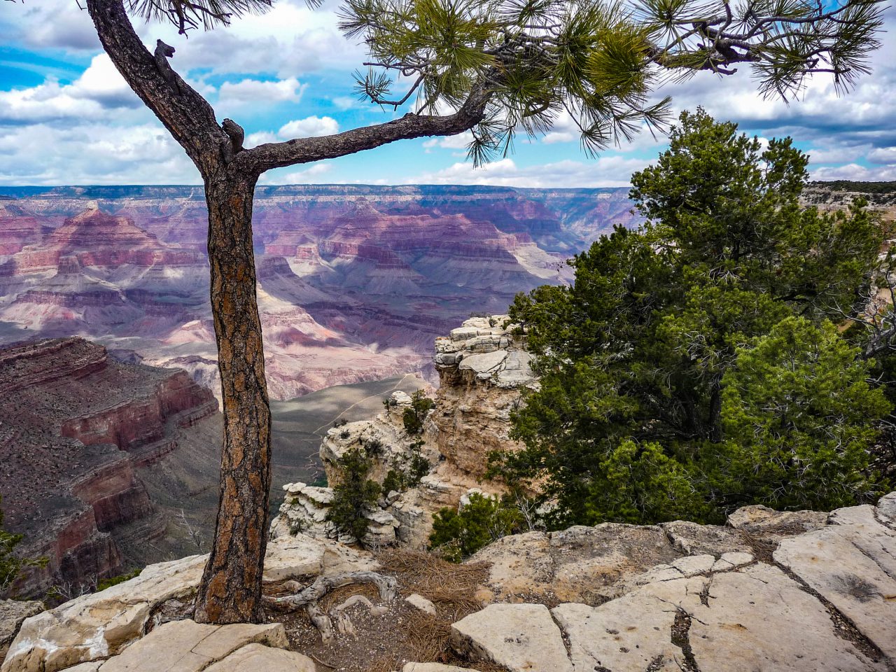 Read more about the article 3. April – Grand Canyon